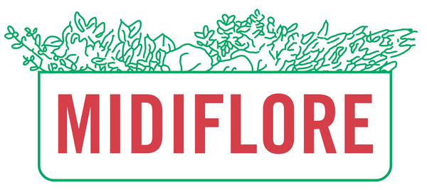 Midiflore