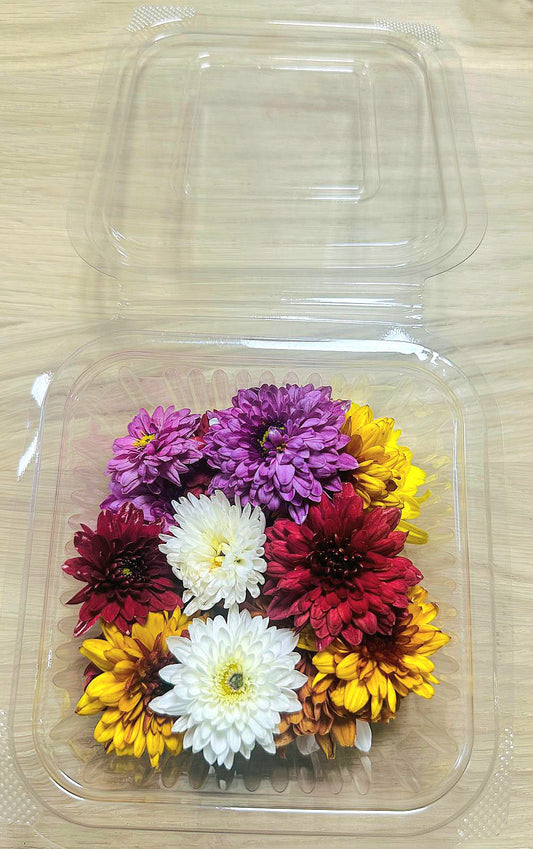 Chrysanthème