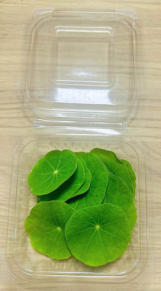 Feuilles de capucine