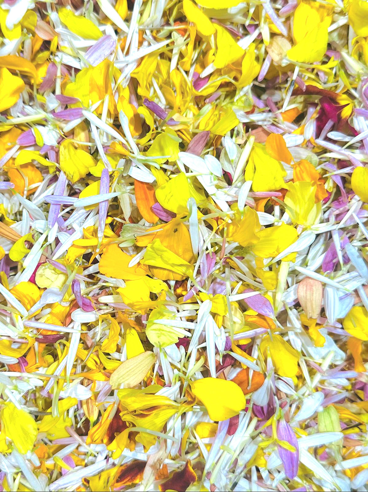 Mélange de pétales de fleurs