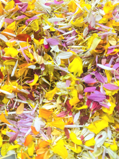 Mélange de pétales de fleurs